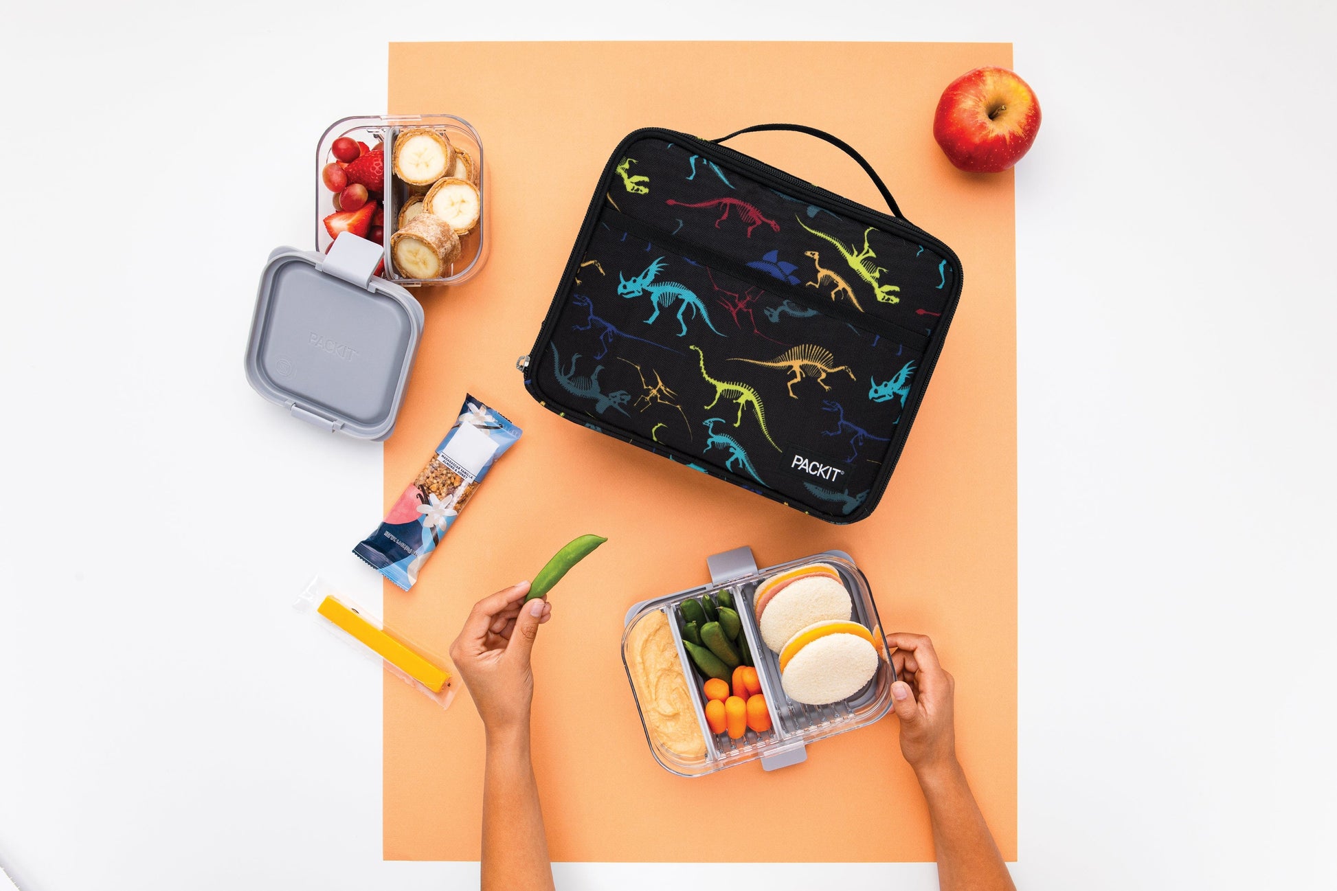 freezable-lunch-box-limited-edition-c3 2022_Lifestyle_Lunch-Box_Dino_Fossils_Hires.jpg